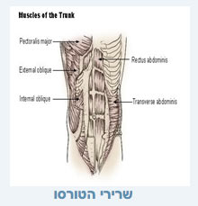 עמוד השדרה - פילאטיס